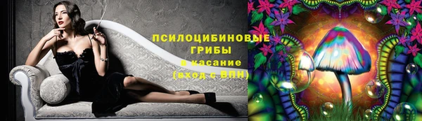 гидра Лиски